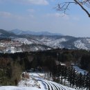 보성녹차사랑 이미지