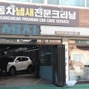 치카치카플러스 이미지