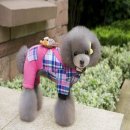 러브펫츠 이미지