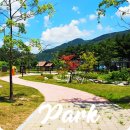 사계절계곡수체험장 이미지