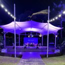 와인의 이해 | 2025 메이필드호텔 디오니소스 와인페어 솔직후기-상반기/하반기