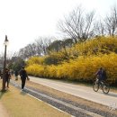 육신사(구) Daum카페