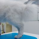 미사동물병원 이미지