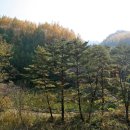 상대월쉼터 이미지