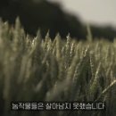 농사마트