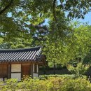 구지로, 분성로 | 김해 스티커맵 투어 [왕코스] 클리어 후기