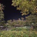 117호공원 이미지