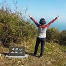 매봉산_숲길(등산)1코스 | 완도 청산도 매봉산 등산코스 왕복 1시간 42분 소요 매봉산 최단코스
