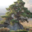 동학혁명 유적지 이미지