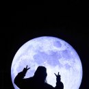 정남진천문과학관 이미지