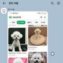 그루밍051 이미지