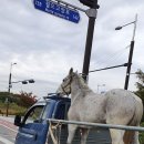 (주)행복 이미지