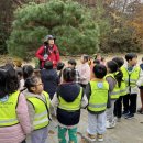 햇볕어린이집 | 우리들 자연학교 11월 13일 고양시립 이음 어린이집 마루반 수업 후기