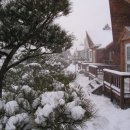 심스캐빈 이미지