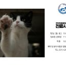 인덕원동물의료센터 네이버블로그
