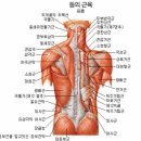 슬림한바디PT 서울대입구점 이미지