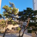 아름동_아름중학교앞 이미지