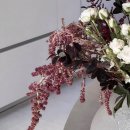 나의 일상은 꽃과 과일로 가득하길 4 (광주 꽃시장 매월동화훼단지 운영시간 및 꿀정보)