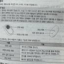 한창의료기 | 연속 혈당측정기 사용법 및 가격, 케어센스 에어 글루코핏 어플 비교 후기