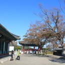 중앙시장여객선터미널 (건너편) 이미지