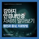 우리동물메디컬센터 이미지