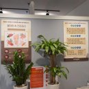 바른지압힐링센터 이미지