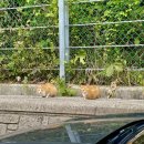 방장산민박 이미지