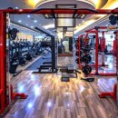 위너스포랜드 이미지