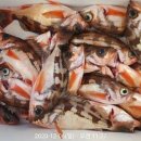 포항시남구장기면양포보건진료소 이미지