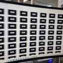 롯데태권도체육관 이미지