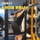 스카이뷰휘트니스 | 모란 헬스장 전문 PT 스카이뷰 휘트니스 상하체 후기