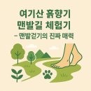 여기산 | 여기산 흙향기 맨발길 체험기 – 맨발걷기의 진짜 매력