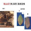 진양사 네이버블로그
