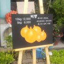 서울종묘사 이미지