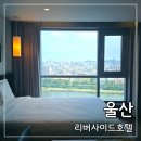 울산리버사이드호텔 숙박 후기: 교통과 태화강 뷰 좋은 중구 숙소 내돈내산