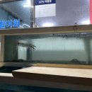 금산산오징어횟집 네이버블로그