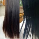 라시옹 이미지