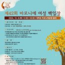 42 이미지