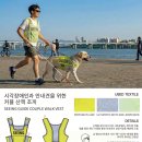 서초라사라패션디자인학원 | AI 시대, 패션 디자인의 미래를 엿보다! 라사라패션디자인학원 특별 전시