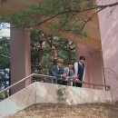 창전사 | 4월일걸 ｡｡ 5월인가 ?