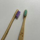방주어린이집 | 닥터노아 미세플라스틱 걱정없는 대나무소재 유아칫솔 아기불소치약 사용 후기