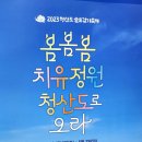 청산도 슬로시티 걷기 축제 이미지