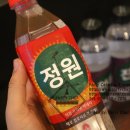 메인카 이미지