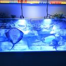 삼우에너지발전소4호 | 시흥 거북섬 해양생태과학관 웨이브파크 연꽃테마파크 완벽 1일 코스 공유!