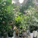 터미널의류 이미지