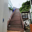 울산 태화동 bcd카페 디비디비딥 레스토랑 내돈내산 후기
