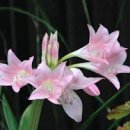 전국상가,빌딩부동산중개사무소 이미지