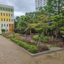 백신초등학교 이미지