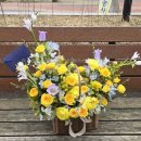 아가위 | 꽃바구니 아가위플라워 청라꽃집