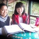 초교파 기독 학생, 필리핀 세인트바이블국제학교 스쿨링 영어캠프! 이미지